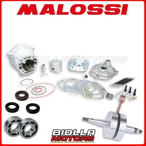 Maxikit malossi mhr team 50 - malossi,