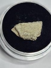 Hadrosaur Egg Shell. Genuine