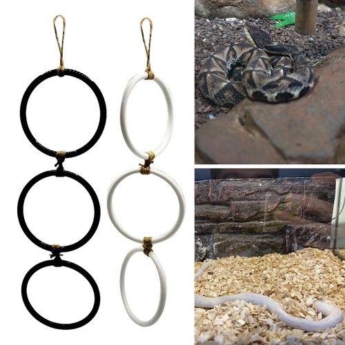 Snake climbing rings corn - snake,