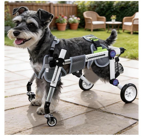 Adjustable wheel dog - 4-wheel,