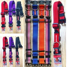 EZYDOG Double Up Collar