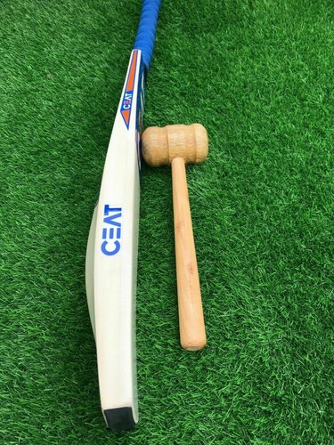 English willow cricket bat - cricket,