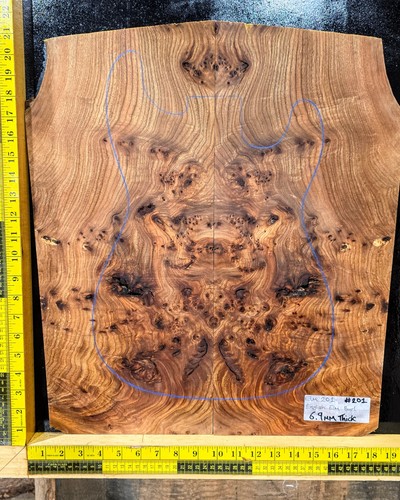 Elm burl guitar top set - top,