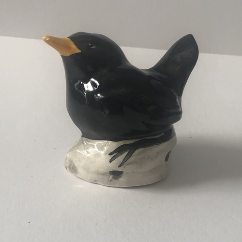 Rare pie funnel blackbird - rare,