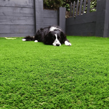 Artificial Grass 30mm |