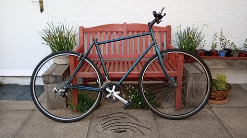 1993 rare vintage raleigh - 1993,