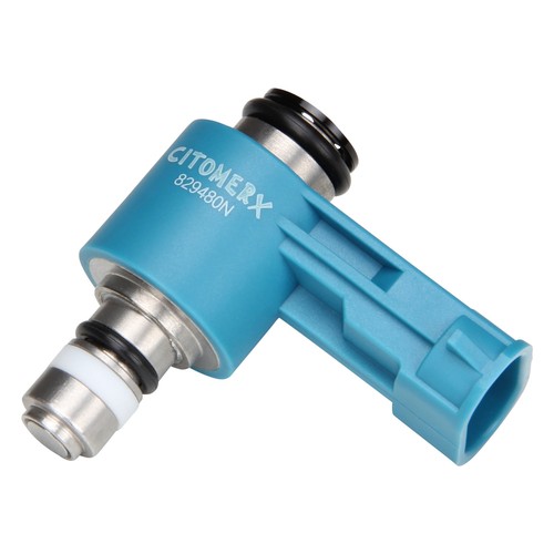 Fuel injector for - fuel,