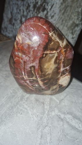 Petrified wood freeform - wood,