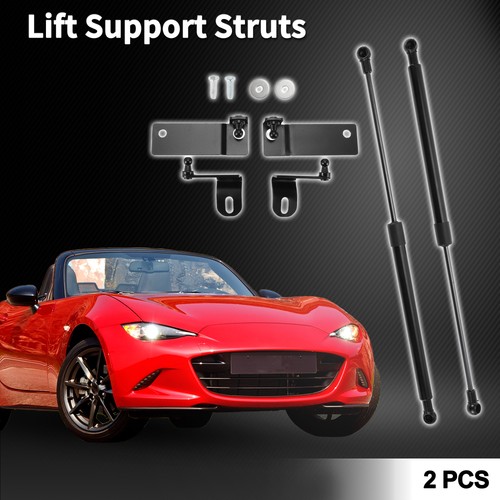 Front hood lift - front,