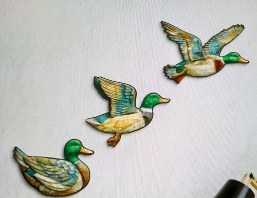 Flying ducks rustic - 3, 2d