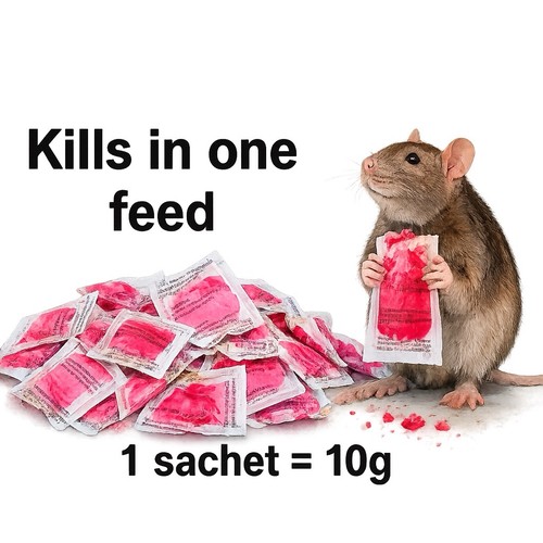 Strong rat poison single feed - poison,