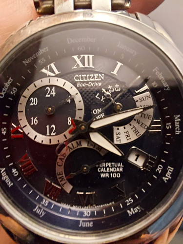 Citizen eco drive perpetual - citizen,