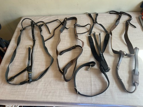Equestrian joblot - joblot, /
