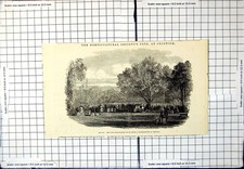 Antique Old Print Ban