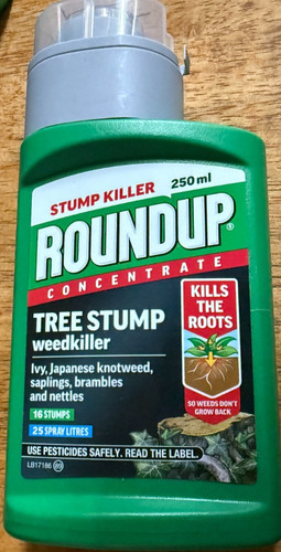Roundup tree stump weedkiller - stump,