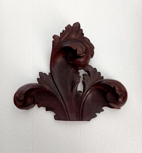 Brazilian rosewood xviii - rosewood,