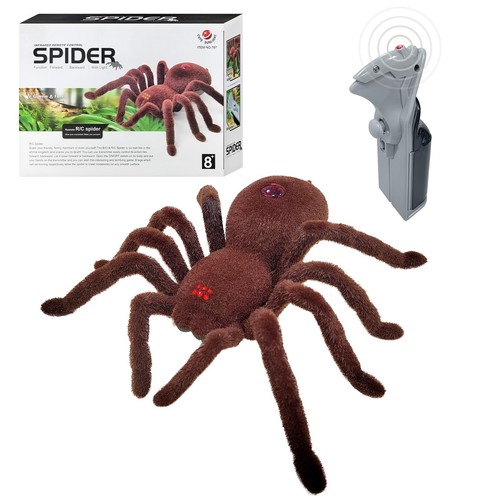 Remote control spider - spider, toy