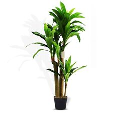 Artificial Tropical Yucca