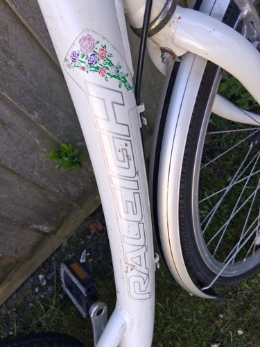 Raleigh caprice dutch style - ,