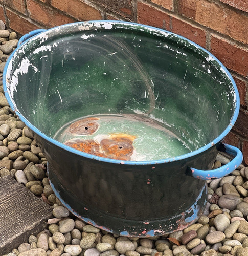 Galvanised french painted - galvanised,
