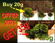 Java Moss High Grade Live