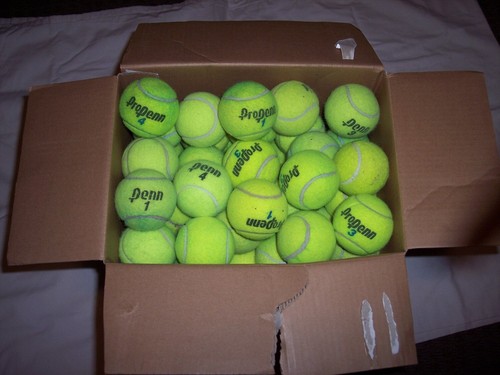 Used tennis balls - 50,