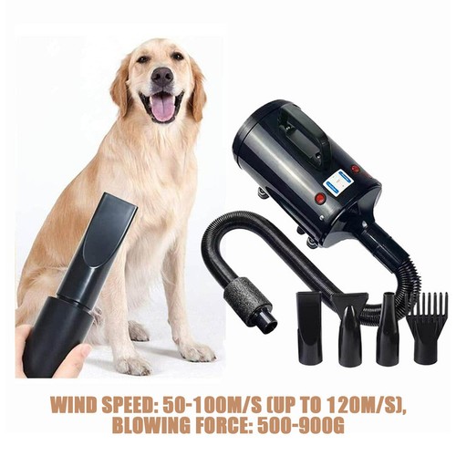 Pet dog cat hair - dog,