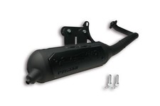 3216579 Malossi Wild Lion