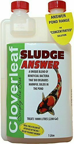 Cloverleaf sludge answer - sludge,