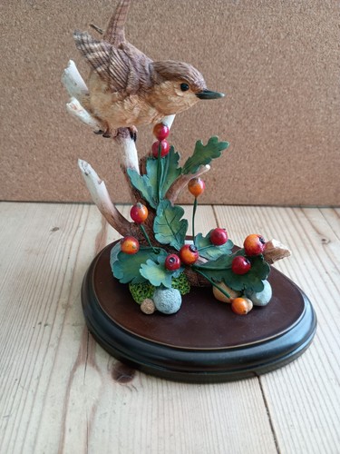 Wren with hawthorn berries - wren,