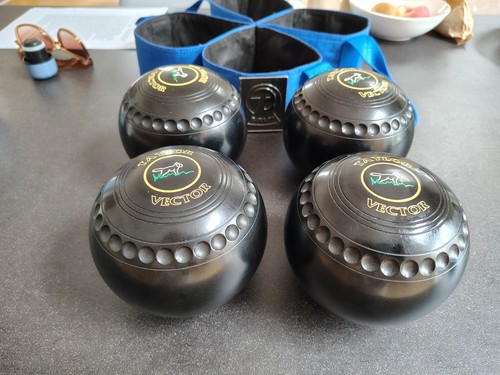 Taylor vector bowls size - bowls,