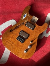 Stratocaster Type Thinline