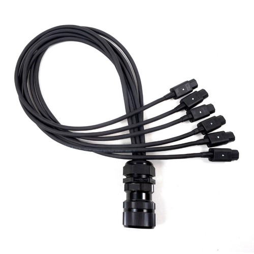 Socapex spider male - -,