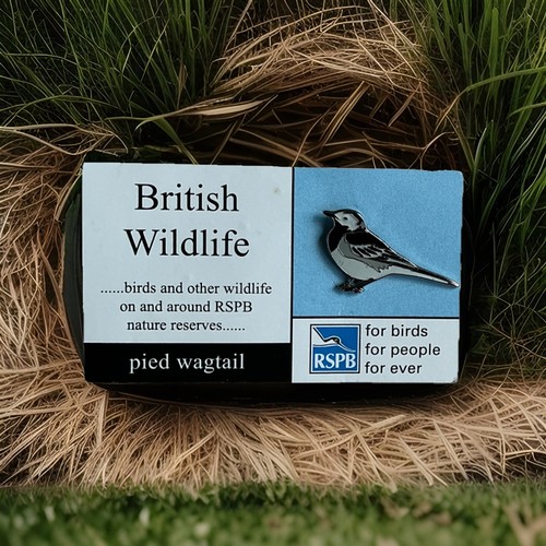 Rspb pin badge - rspb, -pin