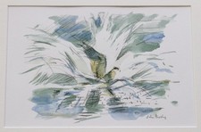 John Busby – Osprey Fishing