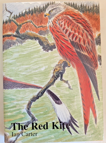 The red kite ian carter - the,