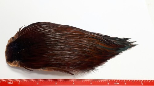 Natural furnace indian cock - natural,
