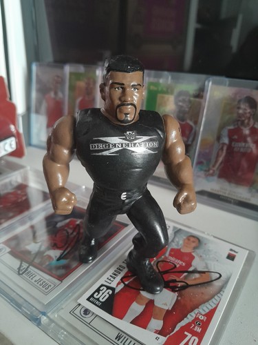 Wwe wwf hasbro mike - wwf,