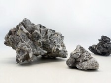 Seiryu Stone / Planted