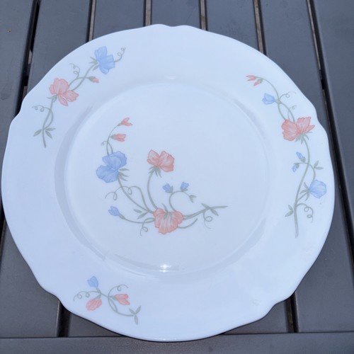 Arcopal pois de senteur - x,