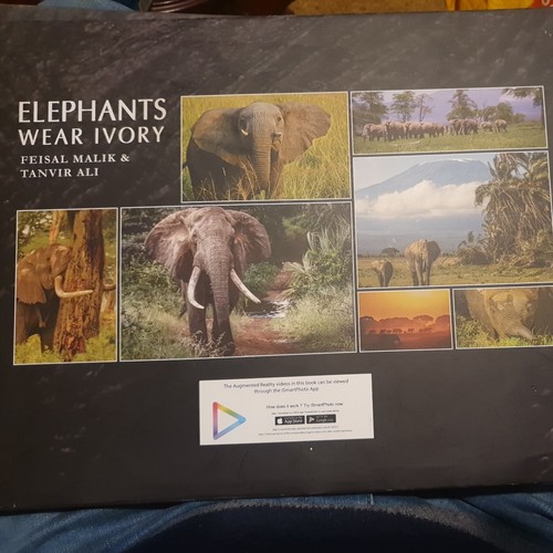 Elephants wear ivory coffee - ivory.,