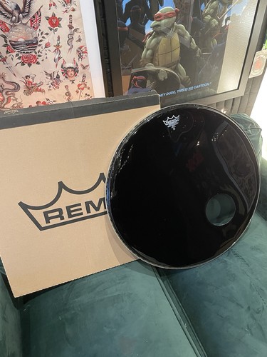Remo ebony ambassador - ebony,