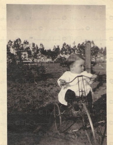 Vintage photo raymond burt - photo,