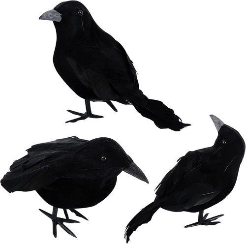 Pack halloween crows - 3,