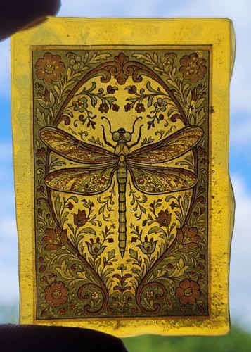 Stained glass dragonfly - glass,