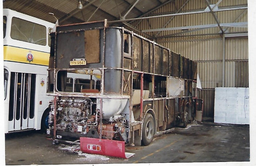 Bus photo tfn984t - photo:, kent