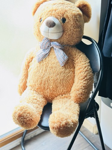 Ikasa giant teddy - ikasa,