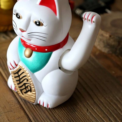 Lucky cat white maneki neko - cat,