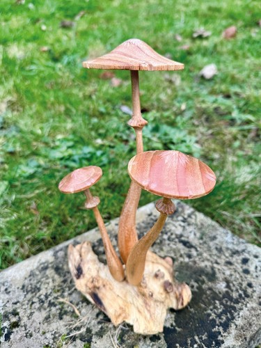 Wooden toadstool honeycap - toadstool,