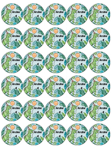 Dinosaur personalised 30 - dinosaur,